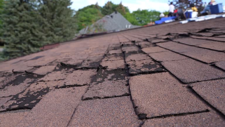 Asphalt Shingles Roofing in Clyde, TX